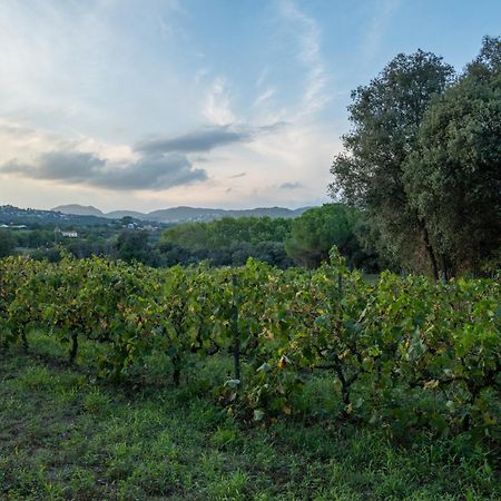 Casa Rural El Bruguer Vell Santa Eulalia de Ronsaná 外观 照片